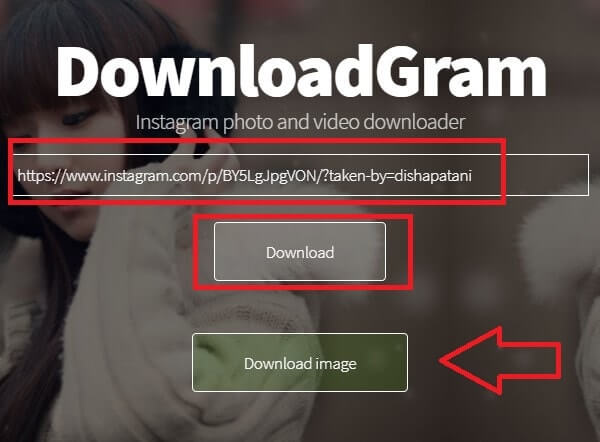 DownloadGram