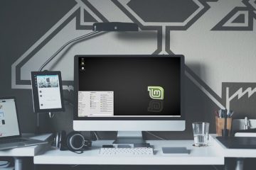 How to dual boot Linux mint and windows 10 (UEFI)