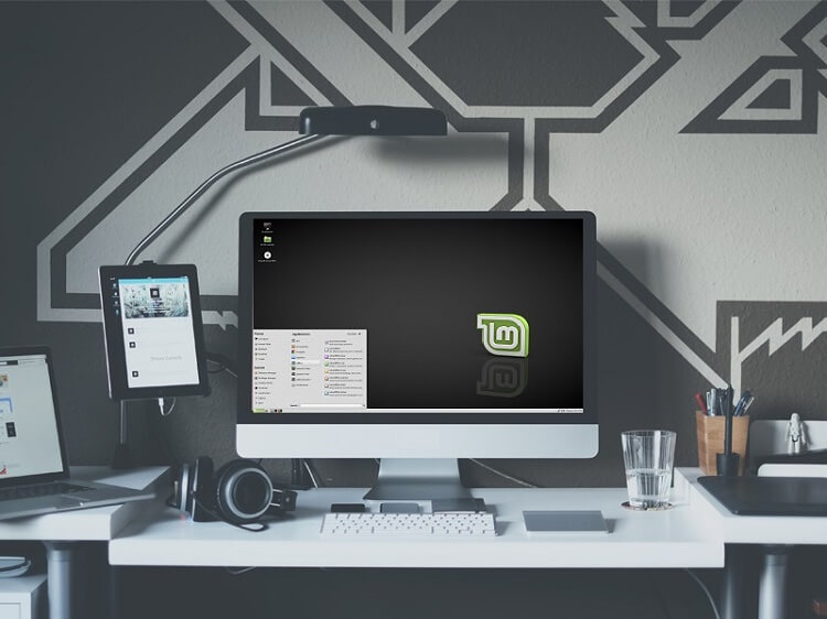 How to dual boot Linux mint and windows 10 (UEFI)