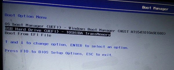 USB Drive Select Dual boot windows 10 and Ubuntu