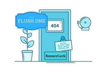 FLUSH DNS