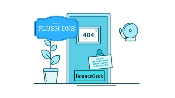 FLUSH DNS