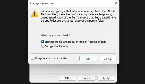 Encrypt Files and Folders Windows 11 Easily