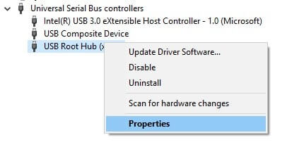 USB Root Hub Properties