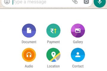 Get Payment Option in WhatsApp.