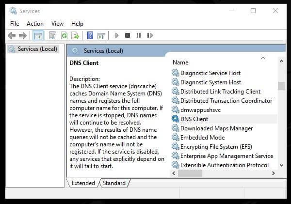 DNS Client Service