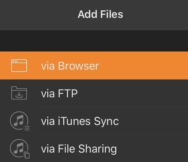 Add FIles using Infuse 6 - Via Browser