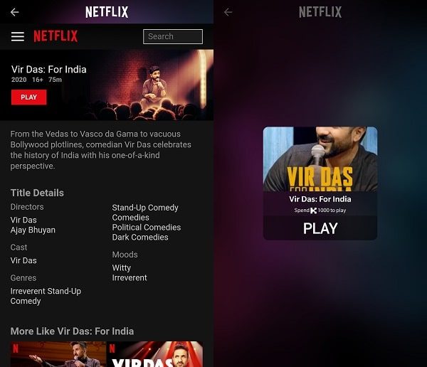 Play Netflix Video in Rave