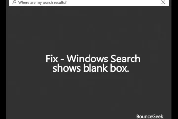 Windows Search shows blank box
