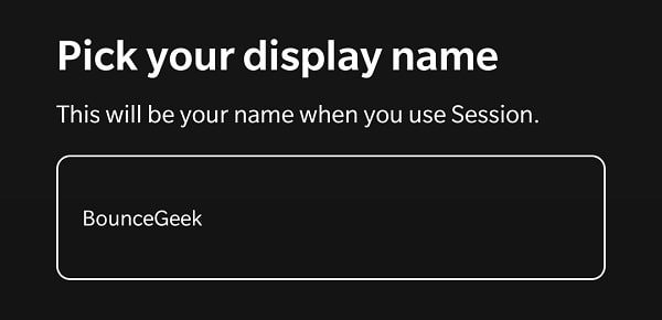 Pick your display name - Session Private Messenger