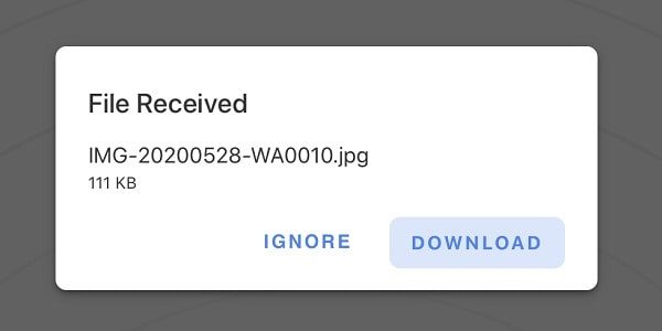 SnapDrop File Received iOS