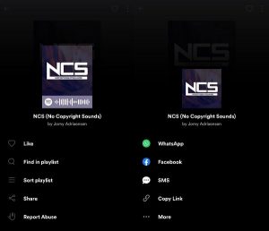 how to download a spotify playlist without premium