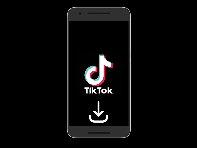 Download TikTok Videos After BAN In India Without Watermark