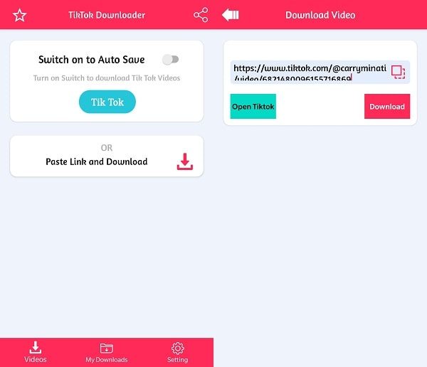 TikTok Downloader - Download TikTok Videos After BAN