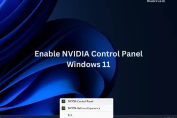 Enable NVIDIA Control Panel Windows 11