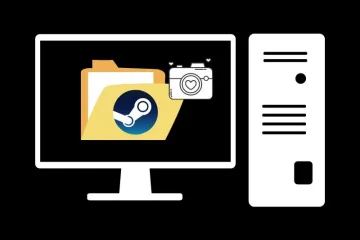 How to Access Steam Screenshot Folder