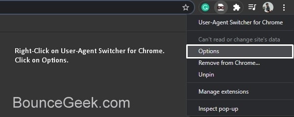 User-Agent Switcher Options