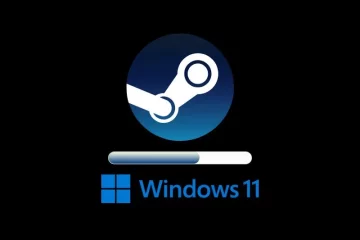 Steam Not Opening on Windows 11