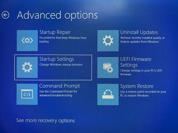 Startup Settings - Advanced Options