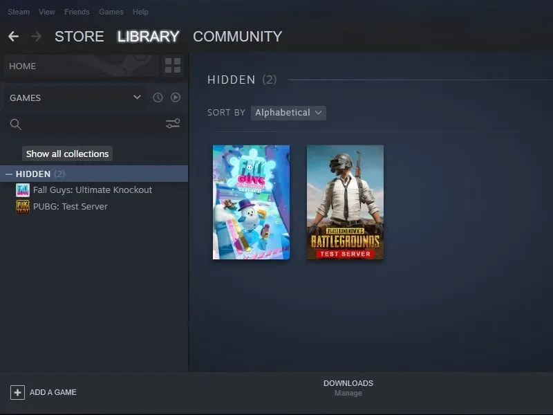 How to find Hidden Games on Steam