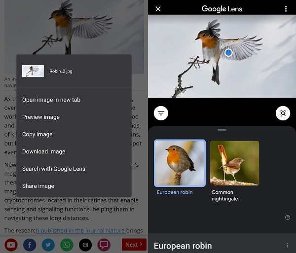 Search with Google Lens - Chrome Image Search