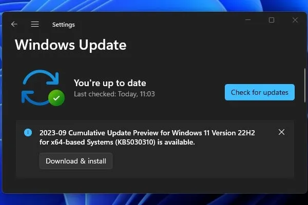 Update Windows 11