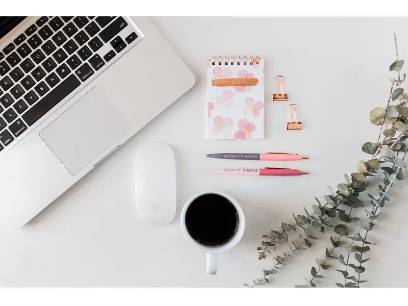 Anatomy of a Tech Startup Team