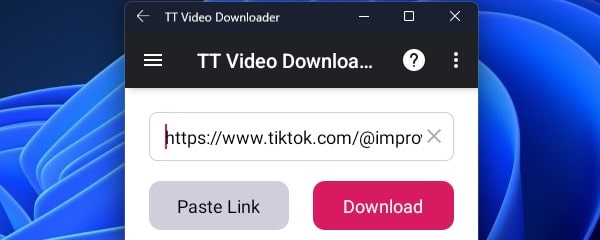 Paste TikTok Video Link and Download