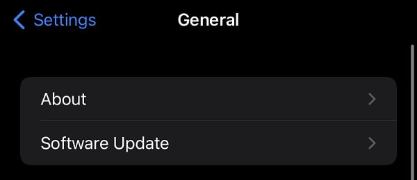 Update iPhone to Latest iOS