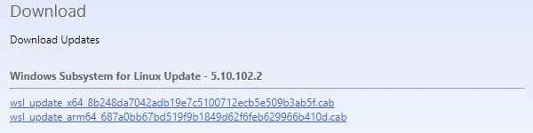WSL Kernel Update File