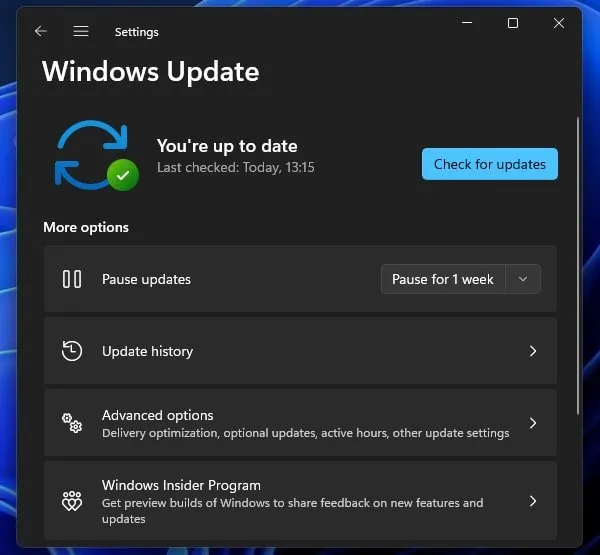 Windows 11 Advanced Options
