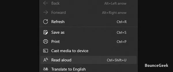 Microsoft Read Aloud Feature