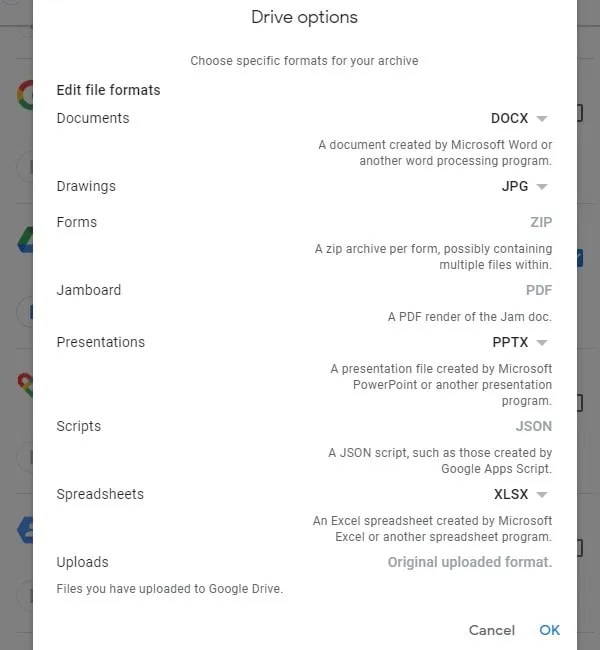 Select Specific File Format for Google Drive