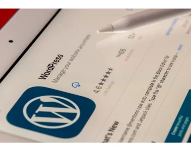 WordPress is the Best CMS for Beginners