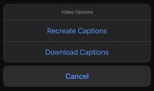 Download Captions