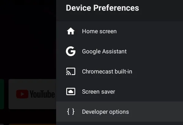 Developer Options in Device Preferences