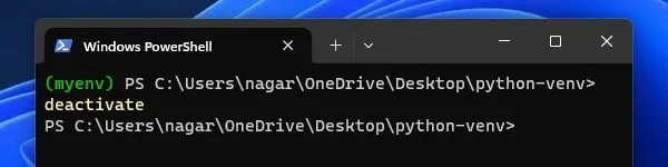 Deactivate Virtual Environment in Python