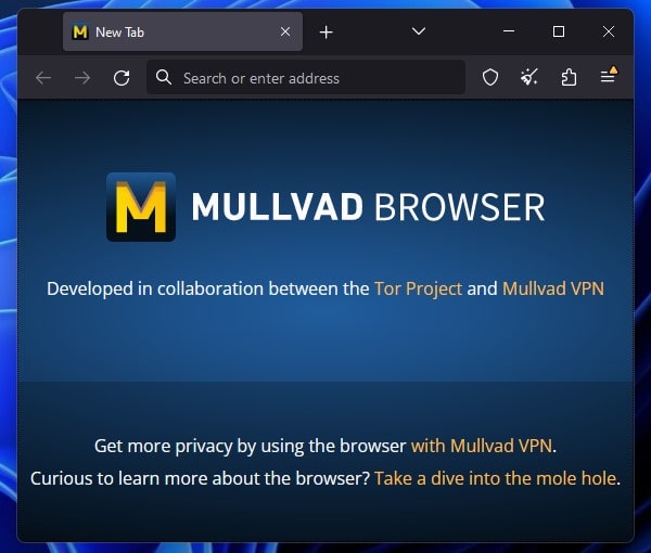 Mullvad Browser for Windows
