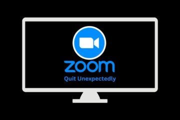 Zoom Quit Unexpectedly Windows 11