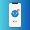 WiFi not working on iPhone after iOS 18 Update